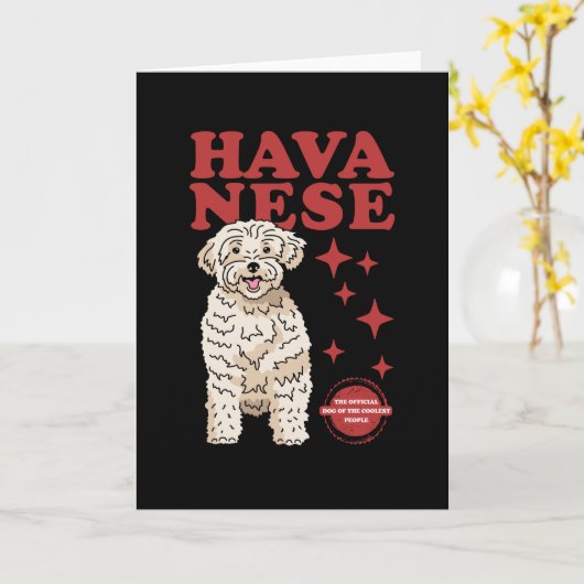 Havanese hond van de koelste | Havaneses Kaart (Gele Bloem)