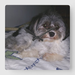Havanese hond, vierkante wandklok