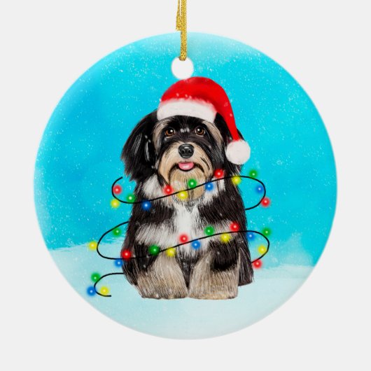 Havanese Hond Zittend In Sneeuw Kerst Pet Lichten Keramisch Ornament (Achterkant)