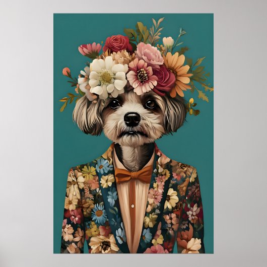 Havanese in pak poster, Havanese portret Poster (Voorkant)