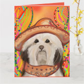 HAVANESE       KAART (Gele Bloem)