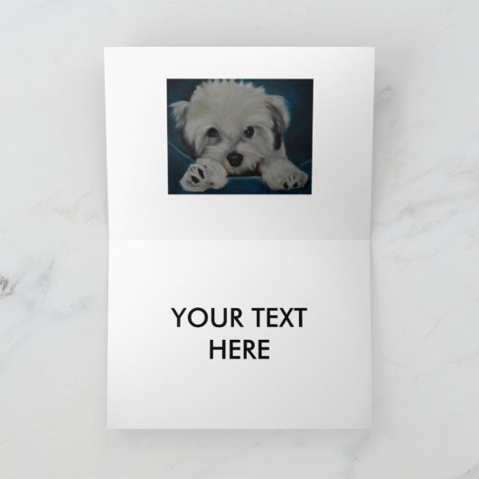 Havanese Kaart (Binnen)