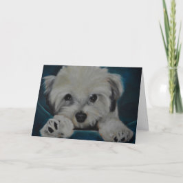 Havanese Kaart