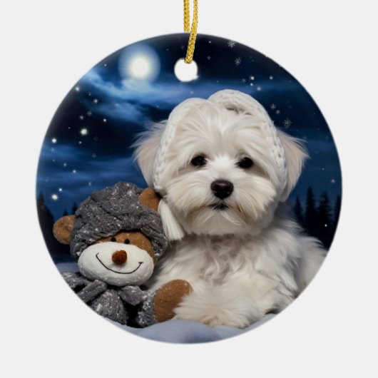 Havanese kerst, hondenherdenkingsgeschenk, hondenl keramisch ornament (Voorkant)