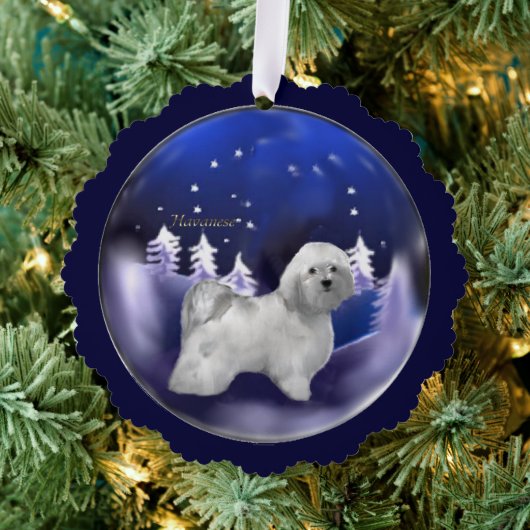 Havanese kerst ornament kaart (Insitu (Drie))