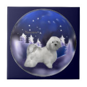 Havanese kerst tegeltje (Voorkant)
