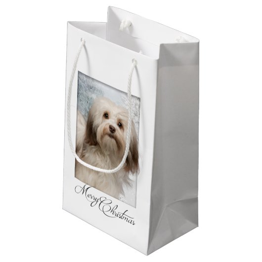 Havanese kerstcadeau klein cadeauzakje (Achterkant Gekanteld)