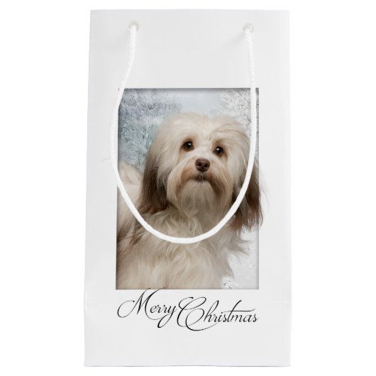 Havanese kerstcadeau klein cadeauzakje (Voorkant)