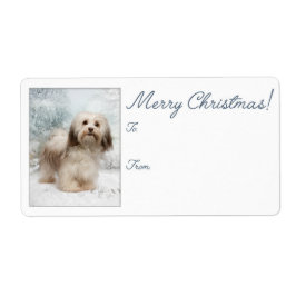 Havanese kerstcadeaulabels etiket