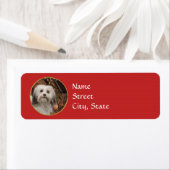 Havanese kerstcadeaulabels etiket (Insitu)