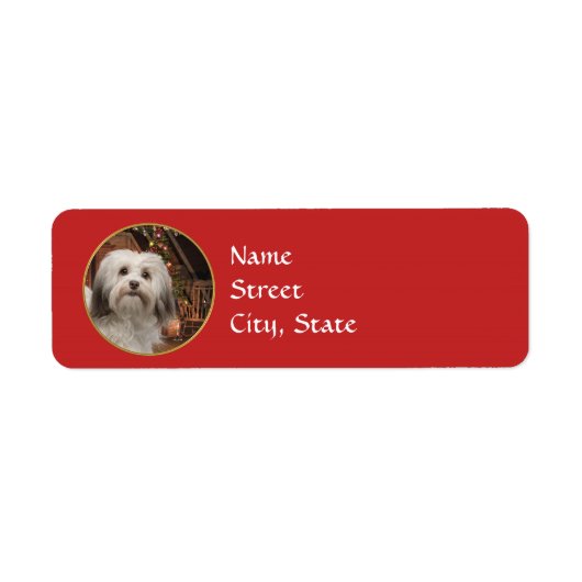 Havanese kerstcadeaulabels etiket (Voorkant)