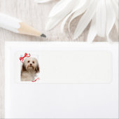 Havanese kerstcadeaulabels etiket (Insitu)