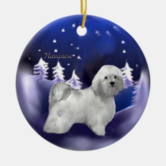 Havanese kerstcadeaus Ornament (Voorkant)