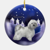 Havanese kerstcadeaus Ornament (Achterkant)