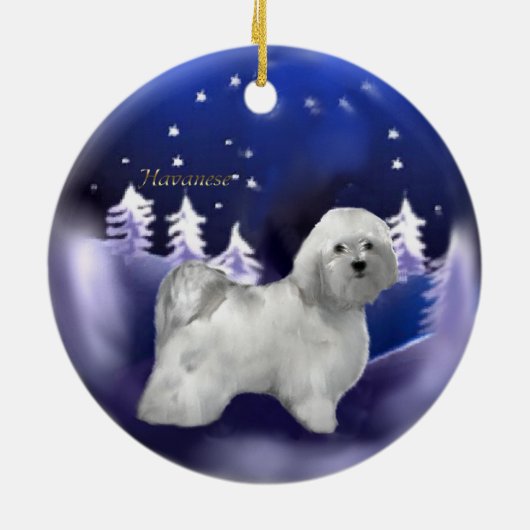 Havanese kerstcadeaus Ornament (Achterkant)