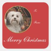 Havanese kerstcadeautjes vierkante sticker (Voorkant)
