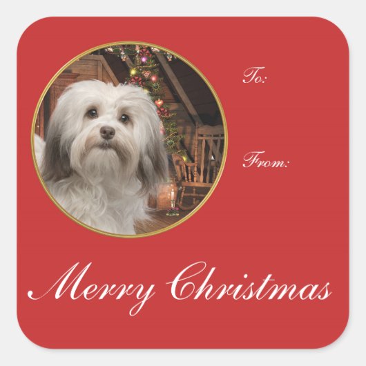 Havanese kerstcadeautjes vierkante sticker (Voorkant)