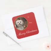 Havanese kerstcadeautjes vierkante sticker (Envelop)