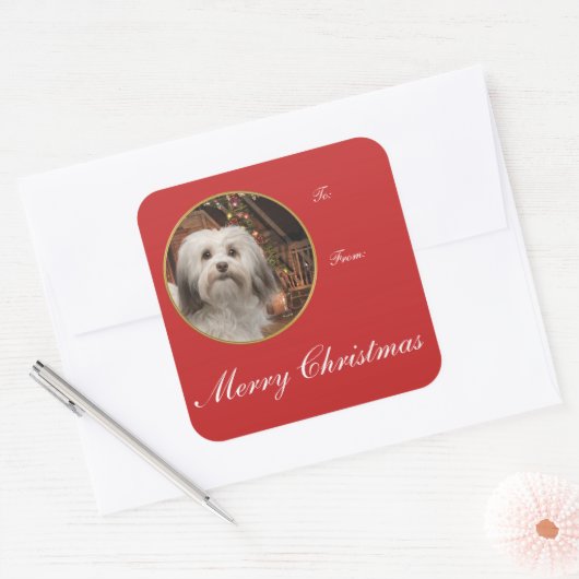 Havanese kerstcadeautjes vierkante sticker (Envelop)