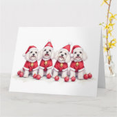 Havanese kerstjurk Sinterklaas hoed Kaart (Gele Bloem)