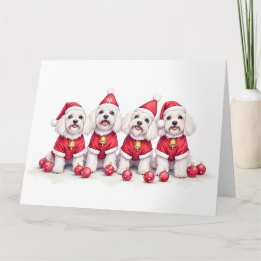 Havanese kerstjurk Sinterklaas hoed Kaart (Voorkant)