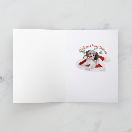 Havanese Kerstman Paws Kerstmis Feestdagen Kaart (Binnen)