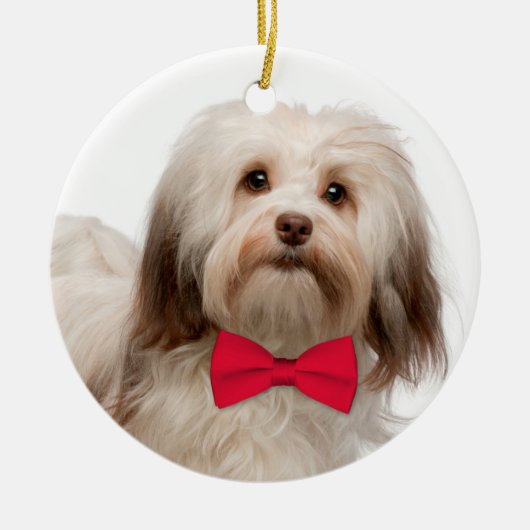 Havanese kerstversiering keramisch ornament (Voorkant)