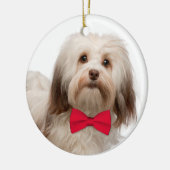 Havanese kerstversiering keramisch ornament (Links)