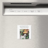Havanese Kunst Cadeaus Magneet (Insitu (Vaatwasser))