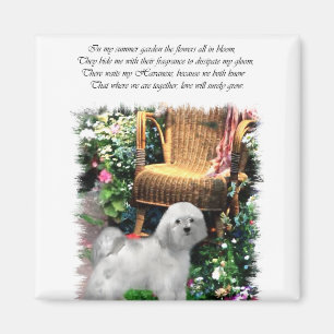Havanese Kunst Cadeaus Magneet