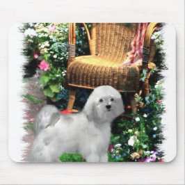 Havanese Kunst Cadeaus Muismat
