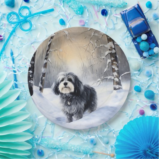 Havanese laat het sneeuwen Kerstmis Papieren Bordje (Feest)