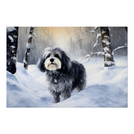 Havanese laat het sneeuwen Kerstmis Perfect Poster (Voorkant)