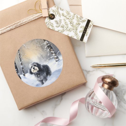 Havanese Laat het Sneeuwen Kerstmis Ronde Sticker (Geschenken)