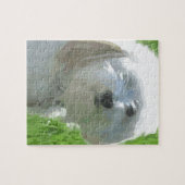 Havanese Legpuzzel (Horizontaal)