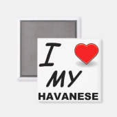 havanese liefde magneet (Voorkant / Achterkant)