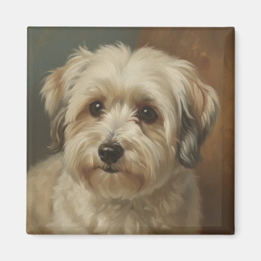 Havanese Magneet (Voorkant)