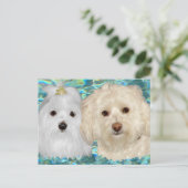 Havanese, Maltezer op Turkoois Water Briefkaart (Staand voorkant)