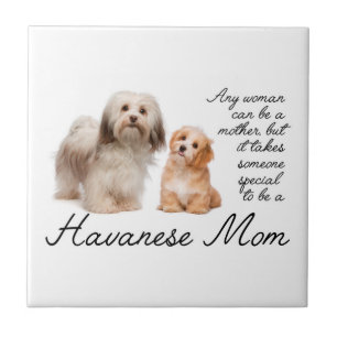 Havanese mam Ceramic Tegel Tegeltje