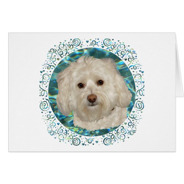 Havanese op turquoise water (Voorkant Horizontaal)
