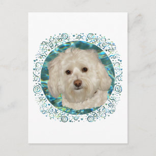 Havanese op turquoise water briefkaart