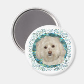 Havanese op turquoise water magneet (Voorkant / Achterkant)