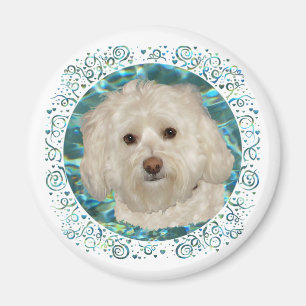 Havanese op turquoise water magneet