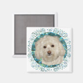 Havanese op turquoise water magneet (Voorkant / Achterkant)