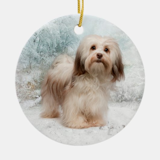 Havanese Ornament (Voorkant)