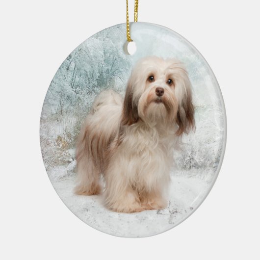 Havanese Ornament (Links)