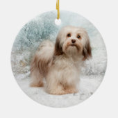 Havanese Ornament (Achterkant)