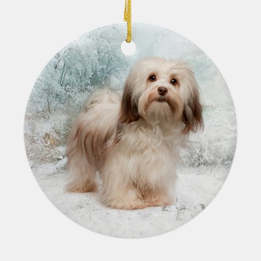 Havanese Ornament (Achterkant)