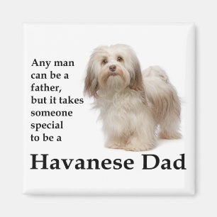 Havanese pa Magnet