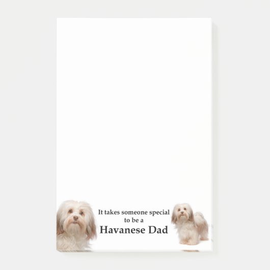 Havanese pa Post-It Notes (Voorkant)